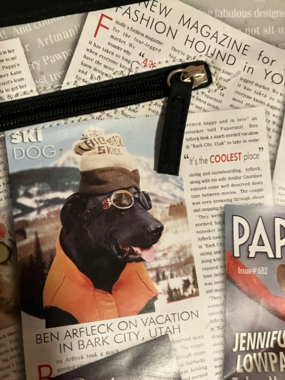 New Dog Paparazzi Style Tote with Personal Photo Spots For Your Dogs Pictures